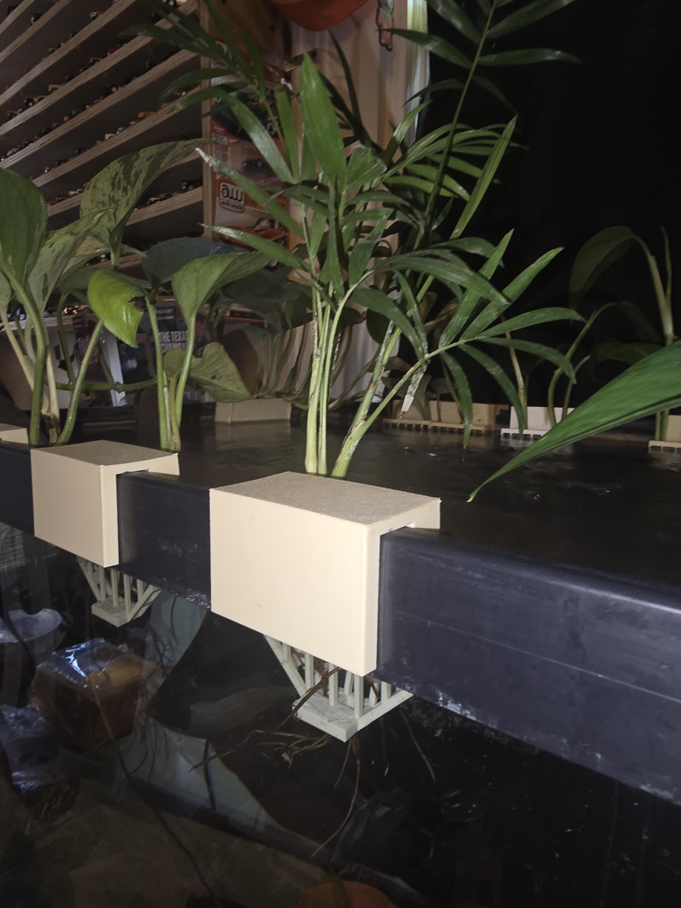 Aquarium Side Plant Holder